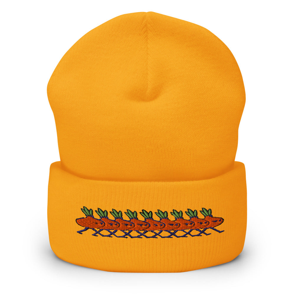 En rang d oignon - bonnet